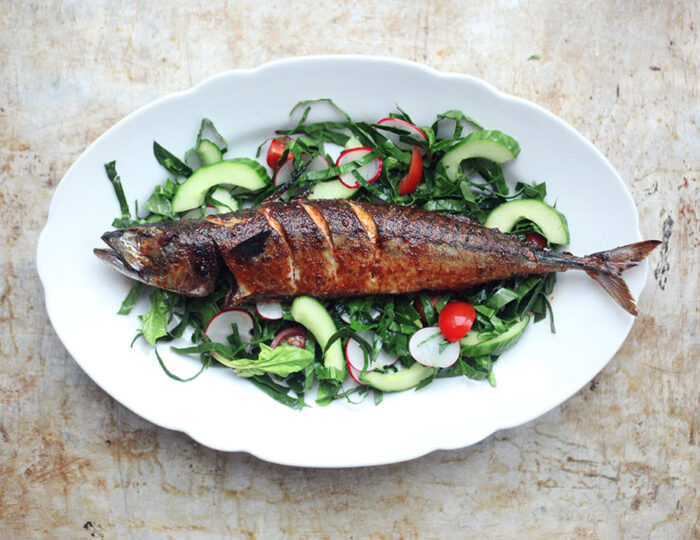 Is fish healthy article