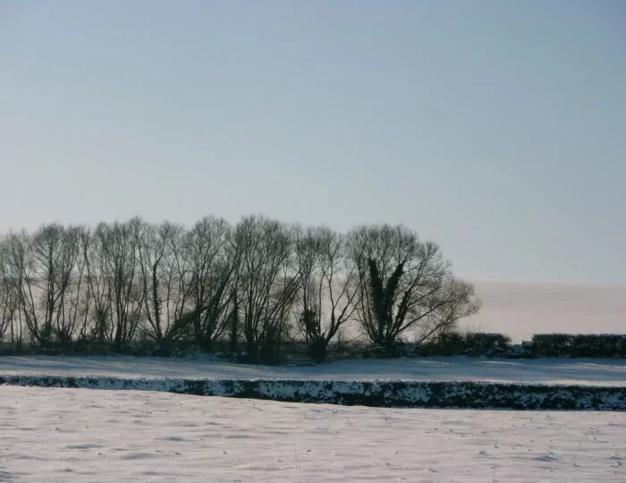 Ways to help you through winter article