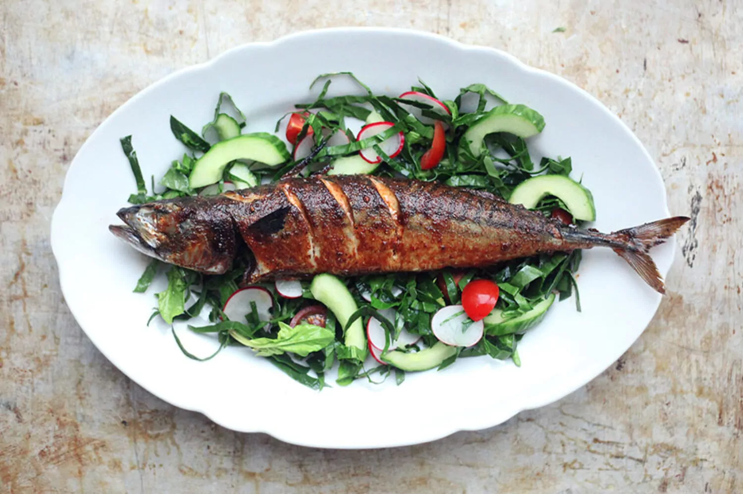 Is fish healthy article