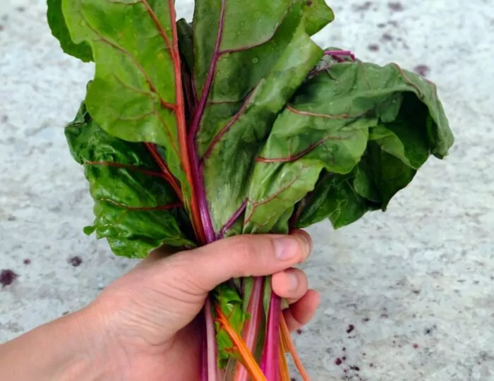 Eating the rainbow article