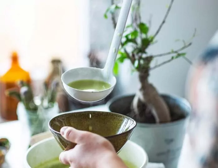 Plant based diet article