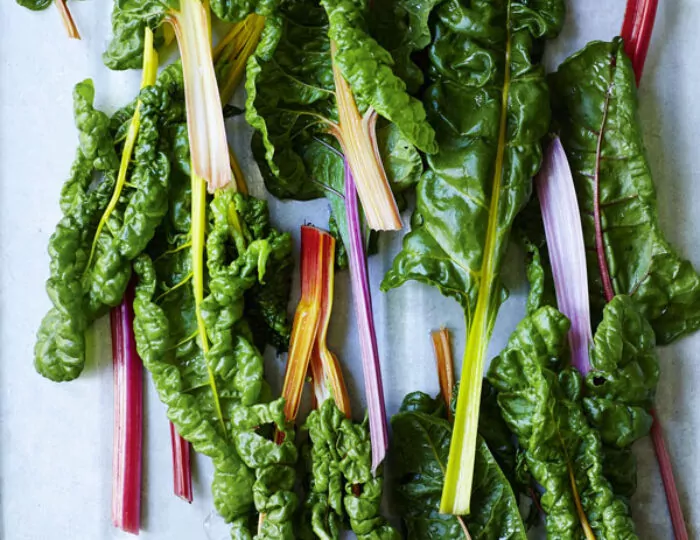 Understanding: Food Categories Articles