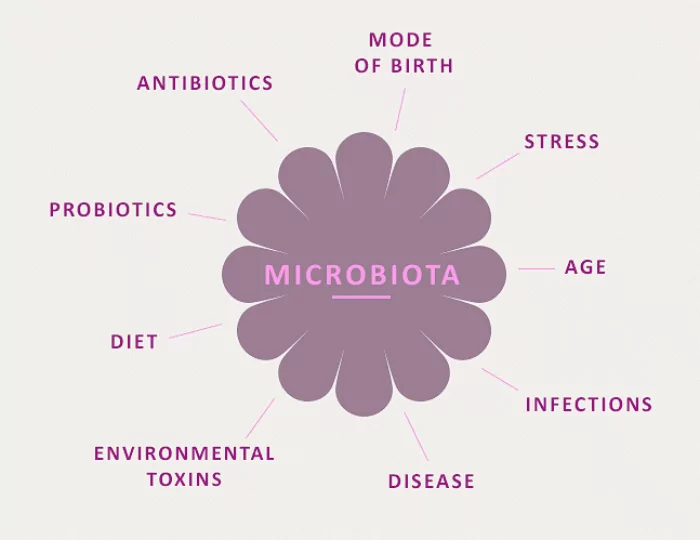 Gut Health, Part 1: The Basics of Gut Health article