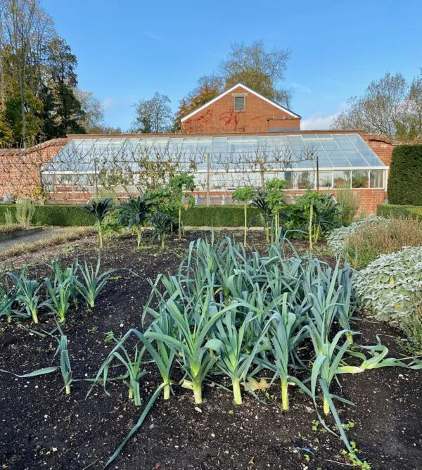 Pics from my garden article