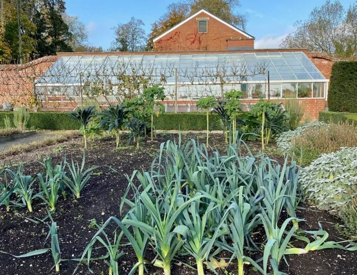 Pics from my garden article