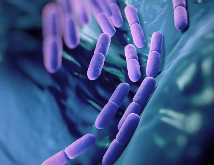 Probiotics & Prebiotics in Gut Health